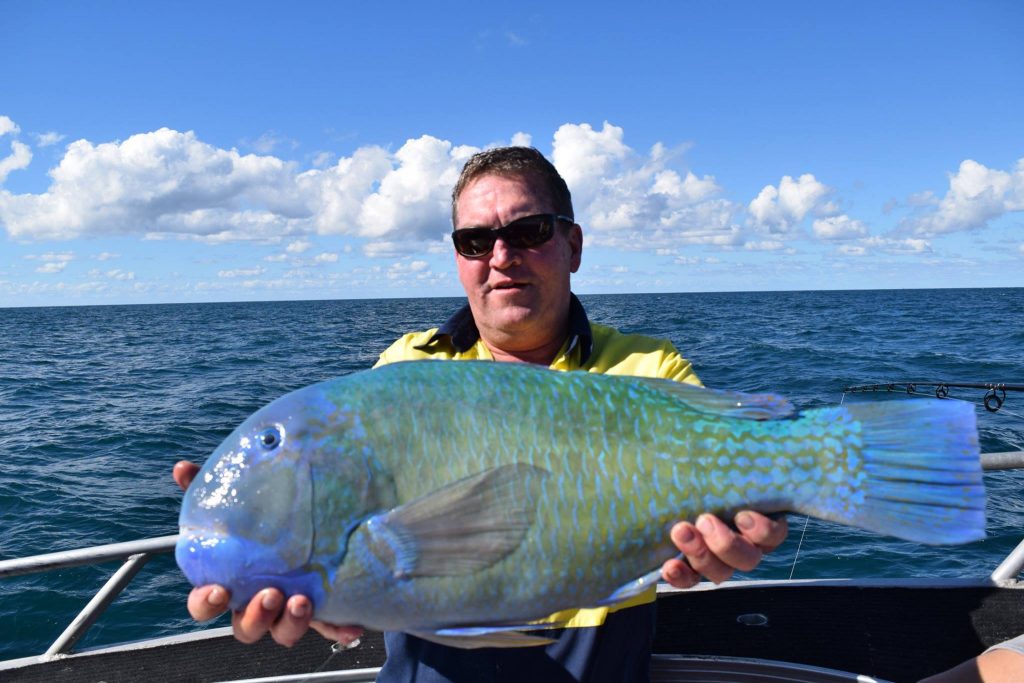 customer catch-1