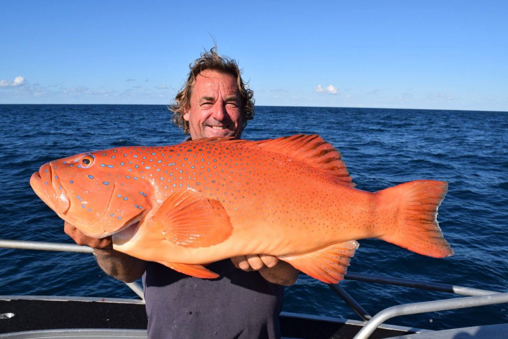 customer catch-12