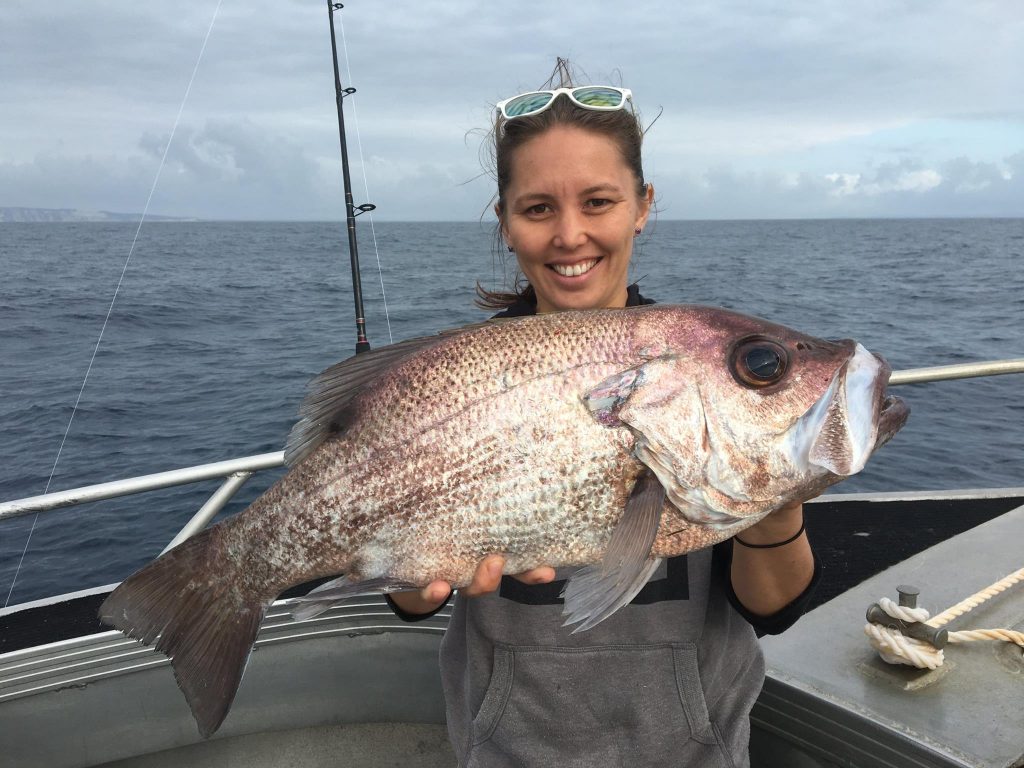 customer catch-7