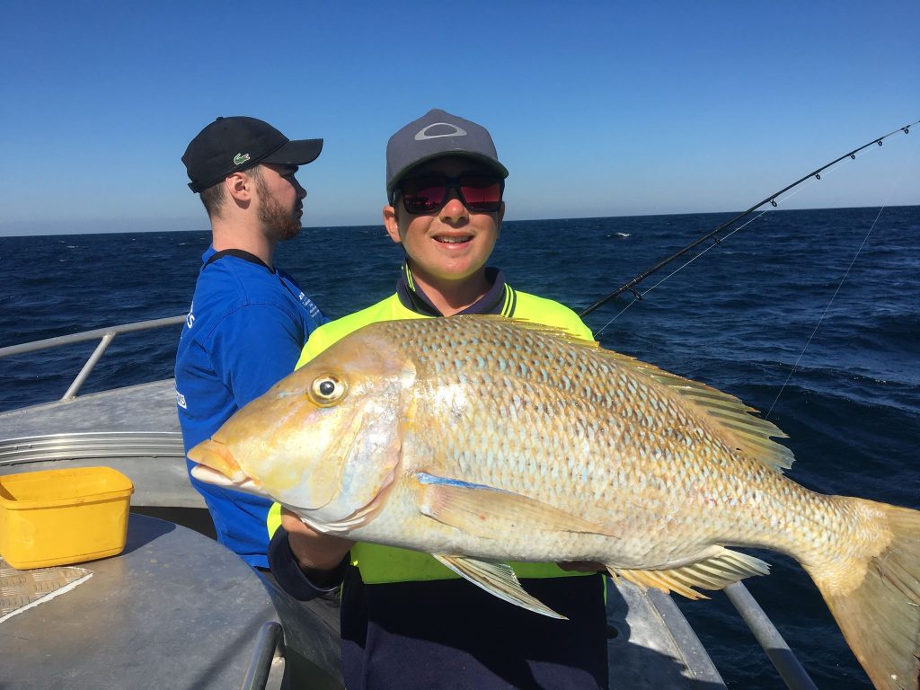 customer catch-11