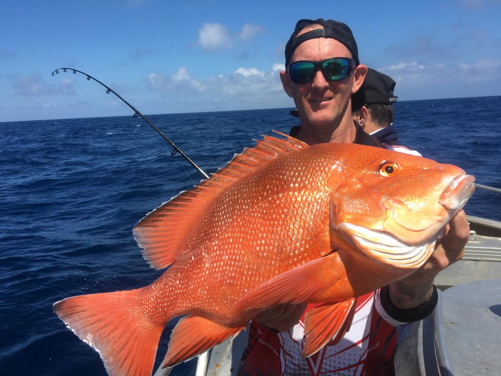 customer catch-6